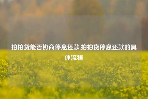 拍拍贷能否协商停息还款,拍拍贷停息还款的具体流程