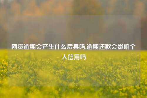 网贷逾期会产生什么后果吗,逾期还款会影响个人信用吗