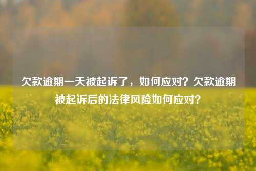 欠款逾期一天被起诉了，如何应对？欠款逾期被起诉后的法律风险如何应对？