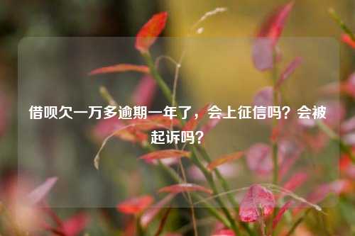 借呗欠一万多逾期一年了，会上征信吗？会被起诉吗？