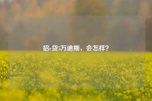 招e贷5万逾期，会怎样？