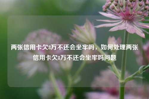 两张信用卡欠8万不还会坐牢吗，如何处理两张信用卡欠8万不还会坐牢吗问题