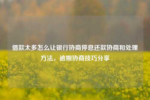 借款太多怎么让银行协商停息还款协商和处理方法，逾期协商技巧分享