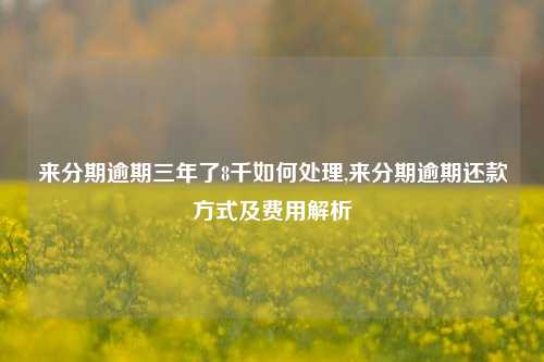 来分期逾期三年了8千如何处理,来分期逾期还款方式及费用解析