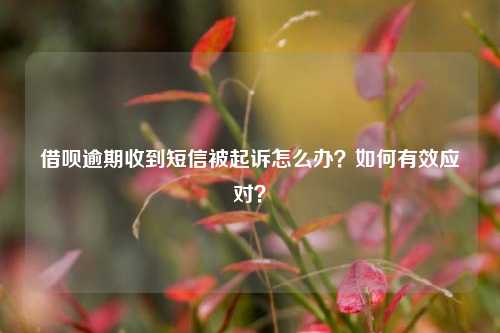 借呗逾期收到短信被起诉怎么办？如何有效应对？