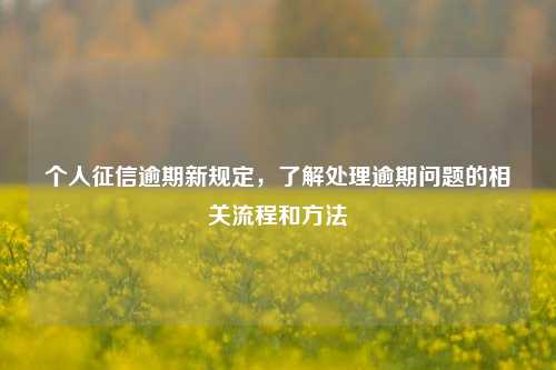 个人征信逾期新规定，了解处理逾期问题的相关流程和方法