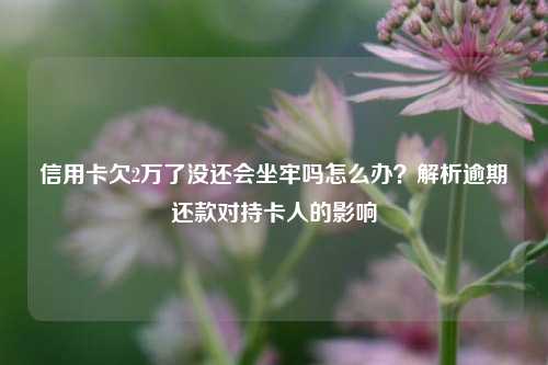 信用卡欠2万了没还会坐牢吗怎么办？解析逾期还款对持卡人的影响