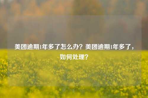 美团逾期1年多了怎么办？美团逾期1年多了，如何处理？