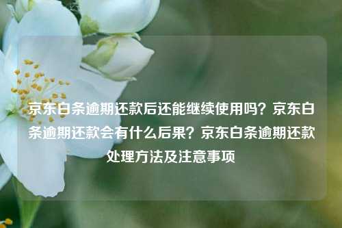 京东白条逾期还款后还能继续使用吗？京东白条逾期还款会有什么后果？京东白条逾期还款处理方法及注意事项