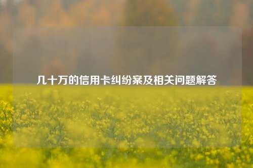 几十万的信用卡纠纷案及相关问题解答