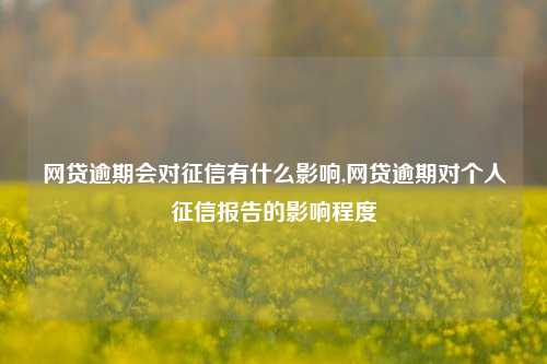 网贷逾期会对征信有什么影响,网贷逾期对个人征信报告的影响程度