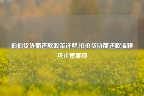 拍拍贷协商还款政策详解,拍拍贷协商还款流程及注意事项