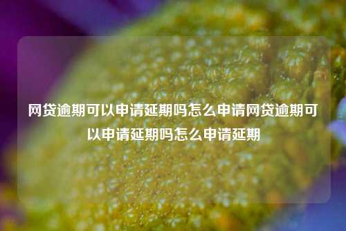 网贷逾期可以申请延期吗怎么申请网贷逾期可以申请延期吗怎么申请延期