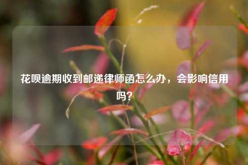 花呗逾期收到邮递律师函怎么办，会影响信用吗？