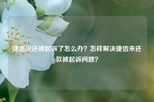 捷信没还被起诉了怎么办？怎样解决捷信未还款被起诉问题？