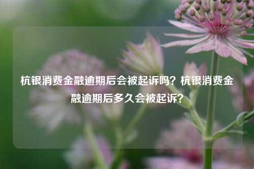 杭银消费金融逾期后会被起诉吗？杭银消费金融逾期后多久会被起诉？