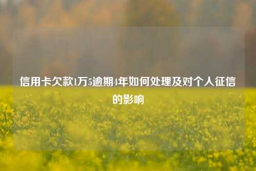 信用卡欠款1万5逾期4年如何处理及对个人征信的影响