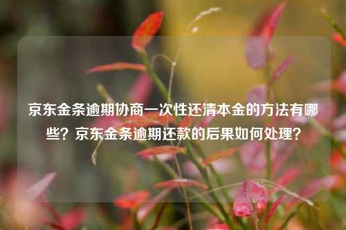 京东金条逾期协商一次性还清本金的方法有哪些？京东金条逾期还款的后果如何处理？