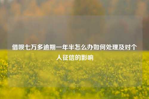 借呗七万多逾期一年半怎么办如何处理及对个人征信的影响