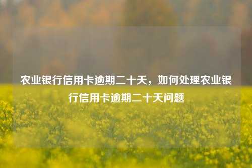 农业银行信用卡逾期二十天，如何处理农业银行信用卡逾期二十天问题