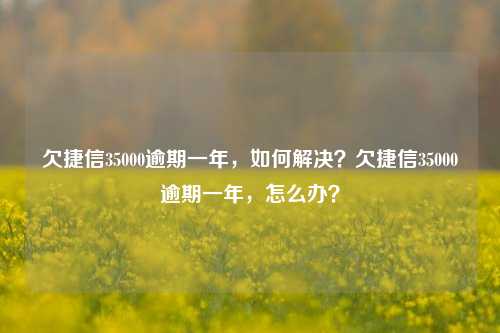 欠捷信35000逾期一年，如何解决？欠捷信35000逾期一年，怎么办？