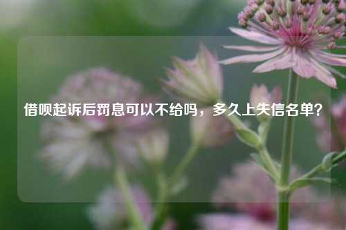 借呗起诉后罚息可以不给吗，多久上失信名单？