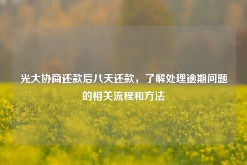 光大协商还款后八天还款，了解处理逾期问题的相关流程和方法