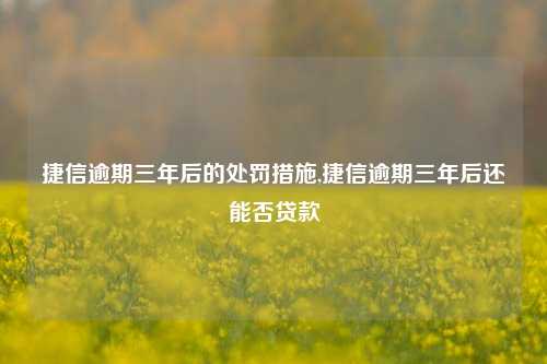 捷信逾期三年后的处罚措施,捷信逾期三年后还能否贷款