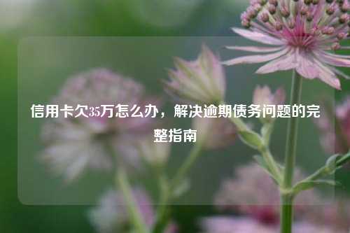 信用卡欠35万怎么办，解决逾期债务问题的完整指南