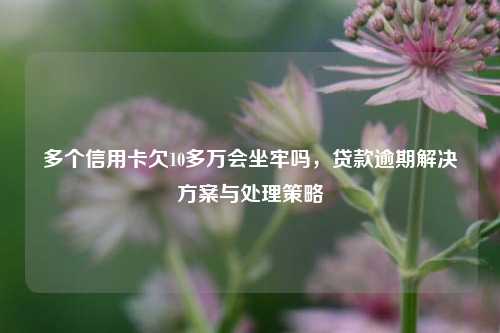 多个信用卡欠10多万会坐牢吗，贷款逾期解决方案与处理策略