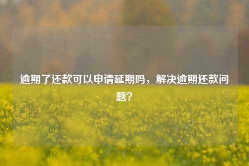 逾期了还款可以申请延期吗，解决逾期还款问题？