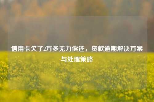 信用卡欠了2万多无力偿还，贷款逾期解决方案与处理策略