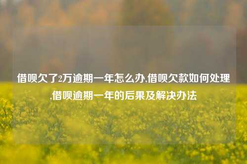 借呗欠了2万逾期一年怎么办,借呗欠款如何处理,借呗逾期一年的后果及解决办法