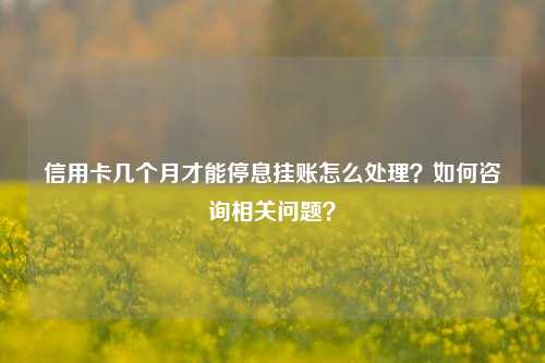 信用卡几个月才能停息挂账怎么处理？如何咨询相关问题？