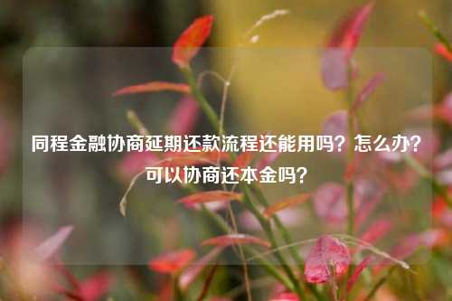 同程金融协商延期还款流程还能用吗？怎么办？可以协商还本金吗？