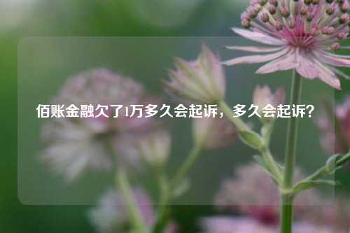 佰账金融欠了1万多久会起诉，多久会起诉？