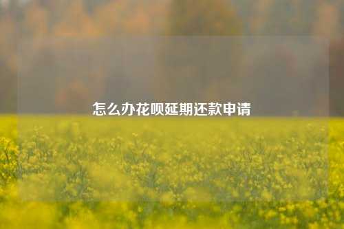 怎么办花呗延期还款申请