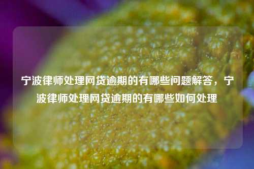 宁波律师处理网贷逾期的有哪些问题解答，宁波律师处理网贷逾期的有哪些如何处理