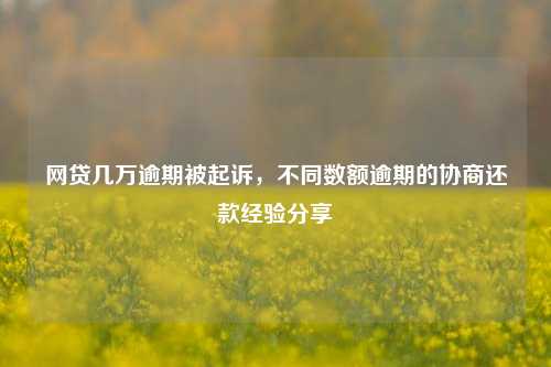 网贷几万逾期被起诉，不同数额逾期的协商还款经验分享