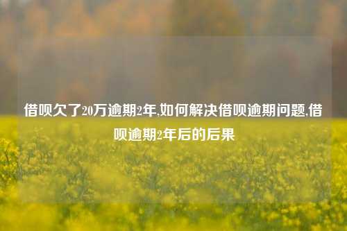 借呗欠了20万逾期2年,如何解决借呗逾期问题,借呗逾期2年后的后果