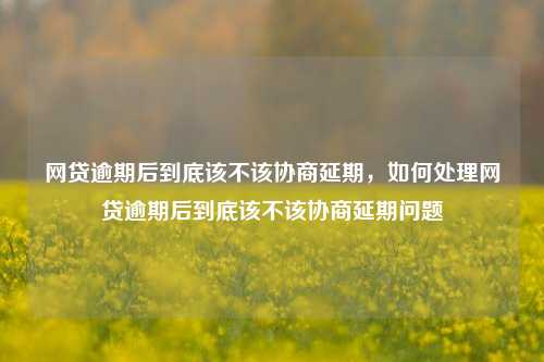 网贷逾期后到底该不该协商延期，如何处理网贷逾期后到底该不该协商延期问题