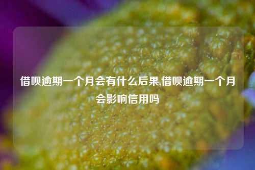 借呗逾期一个月会有什么后果,借呗逾期一个月会影响信用吗