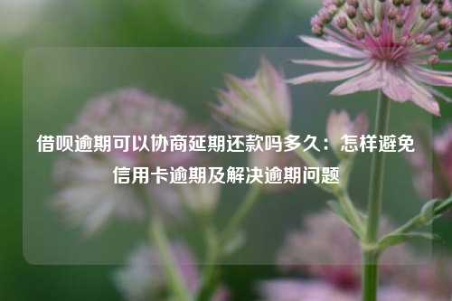 借呗逾期可以协商延期还款吗多久：怎样避免信用卡逾期及解决逾期问题