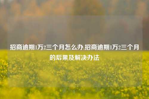 招商逾期1万2三个月怎么办,招商逾期1万2三个月的后果及解决办法