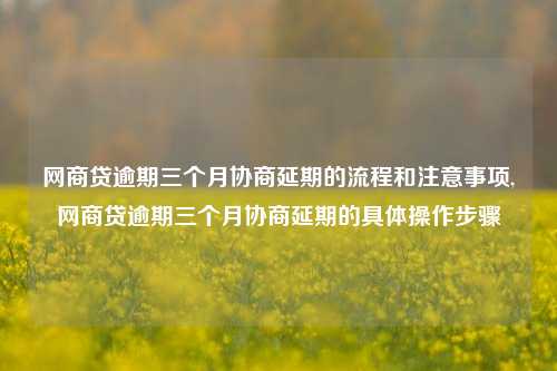 网商贷逾期三个月协商延期的流程和注意事项,网商贷逾期三个月协商延期的具体操作步骤