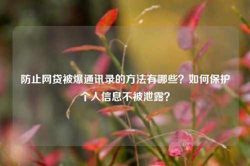 防止网贷被爆通讯录的方法有哪些？如何保护个人信息不被泄露？