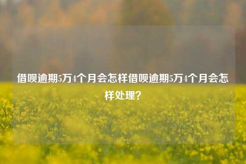 借呗逾期5万4个月会怎样借呗逾期5万4个月会怎样处理？