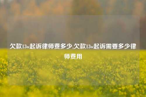 欠款13w起诉律师费多少,欠款13w起诉需要多少律师费用