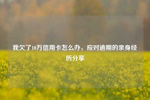 我欠了10万信用卡怎么办，应对逾期的亲身经历分享