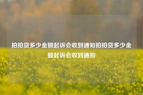 拍拍贷多少金额起诉会收到通知拍拍贷多少金额起诉会收到通知